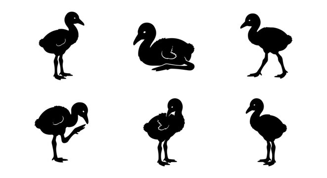 Adorable Duckling Silhouettes, Cute Baby Bird Poses, Simple Black and White Vector Graphics for Nature Themes