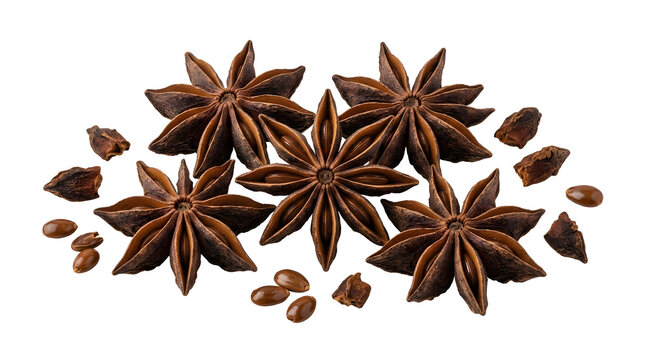 star anise spice