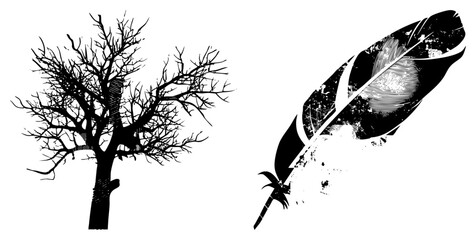 Obraz premium This stark composition features a leafless skeleton tree and a weathered feather quill in a gritty stencil style. The dark silhouettes of the branchy wood and ink stained feather create a dramatic con
