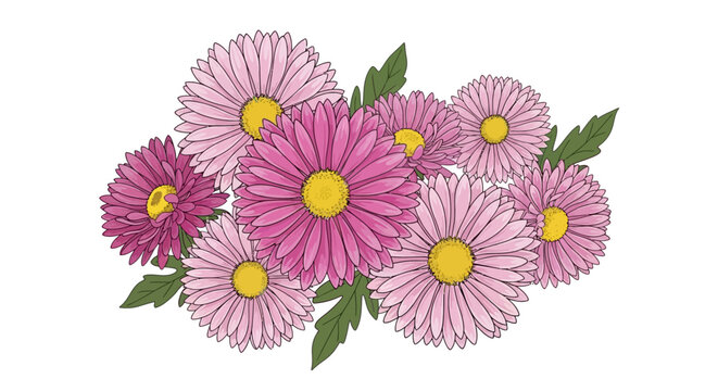 A bouquet of pink aster flowers is drawn on a white background.