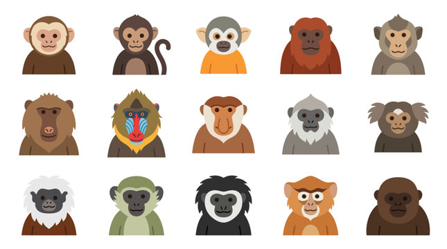 Flat Design Various Monkey Species Set - Cute Animal Wildlife Primates Cartoon Vector Icons