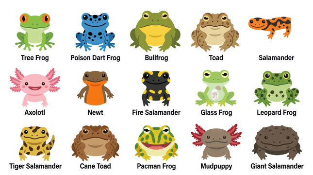 Cute Frogs and Salamanders Collection - Flat Style Illustration