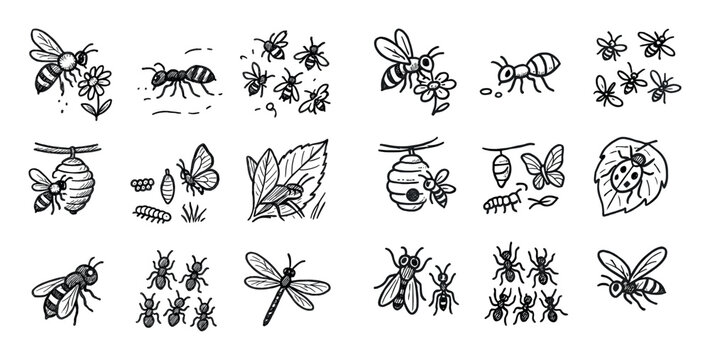 Nature icons with bee hive and leaf hand drawn