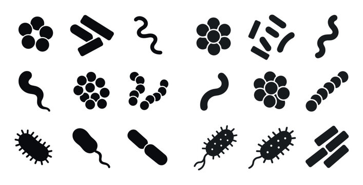 Microbiology icons with rod sphere spiral solid