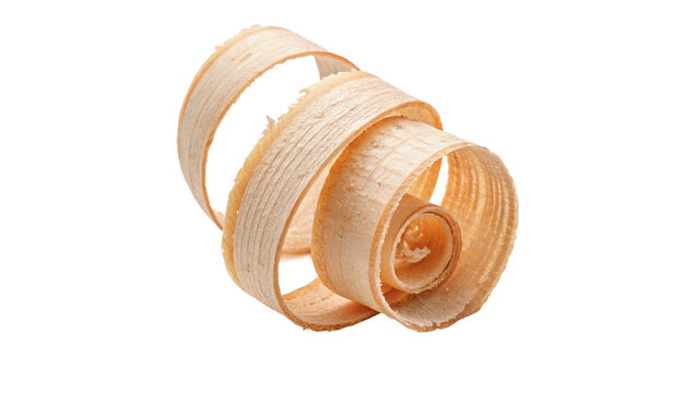 Natural curly wooden shavings lumber carpentry workshop material craft object on transparent background