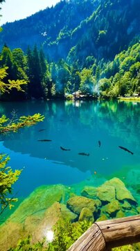 A Serene Afternoon at Blausee Lake, Where Crystal Clear Turquoise Waters Reflect Majestic Mountains and Lush Green Forests While Schools of Trout Swim Peacefully.
 lake in the mountains