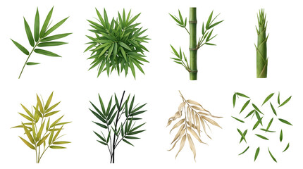Fototapeta premium Set of bamboo elements including green leaves, bamboo stalks, bamboo shoot, and dried leaves isolated on transparent background