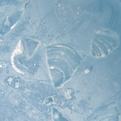 Ancient marine fossil imprints in deep blue ice texture © Татьяна Бачман