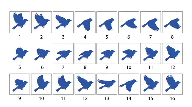 A blue vector illustration showing a bird in motion with sixteen different wing flap positions