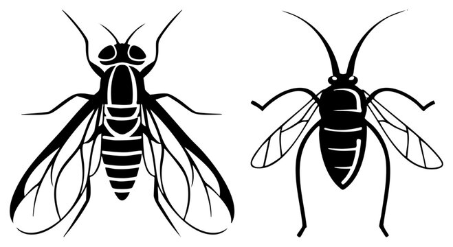 Detailed black silhouettes featuring a common housefly and a small wasp. This insect duo, including a gadfly and a stinging vespula, shows intricate wing and body segments.