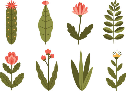 Collection of Diverse Botanical Illustrations.