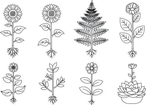 Collection of eight unique botanical illustrations with roots.