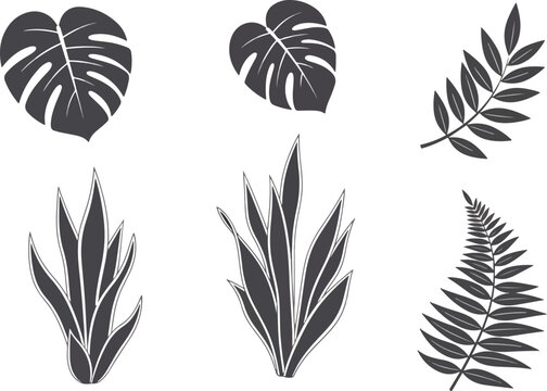 Collection of Six Stylized Tropical Plant Silhouettes.