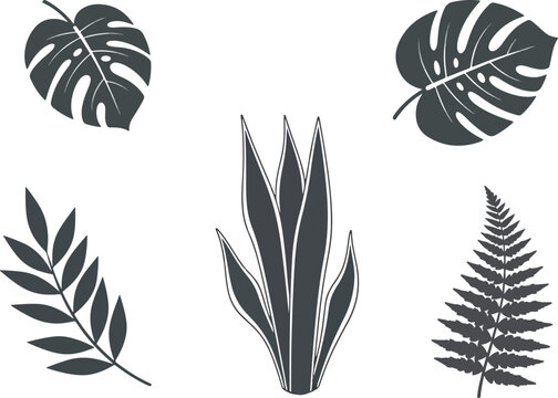 Collection of Stylized Tropical Plant Leaves and Fronds.
