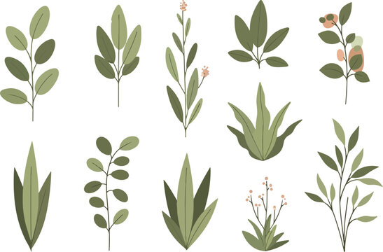 Collection of Various Green Leafy Plant Sprigs and Stems.