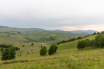 Fototapeta premium Wide summer landscape from Chertov Palets mountain with rolling green hills, meadows and scattered trees under cloudy sky, Altai Republic, Russia