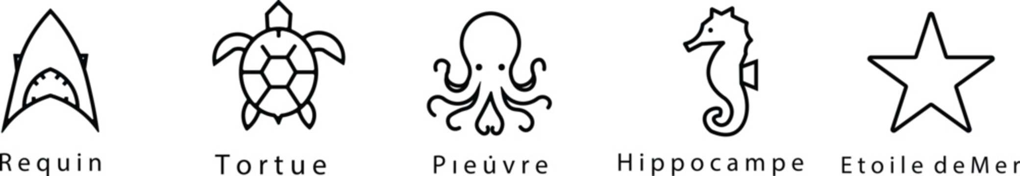 Marine life icons with french labels