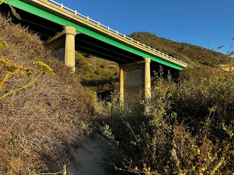 A detailed close-up shot of the iconic Pfeiffer Canyon Bridge arching gracefully over the lush canyon in Big Sur, CA.