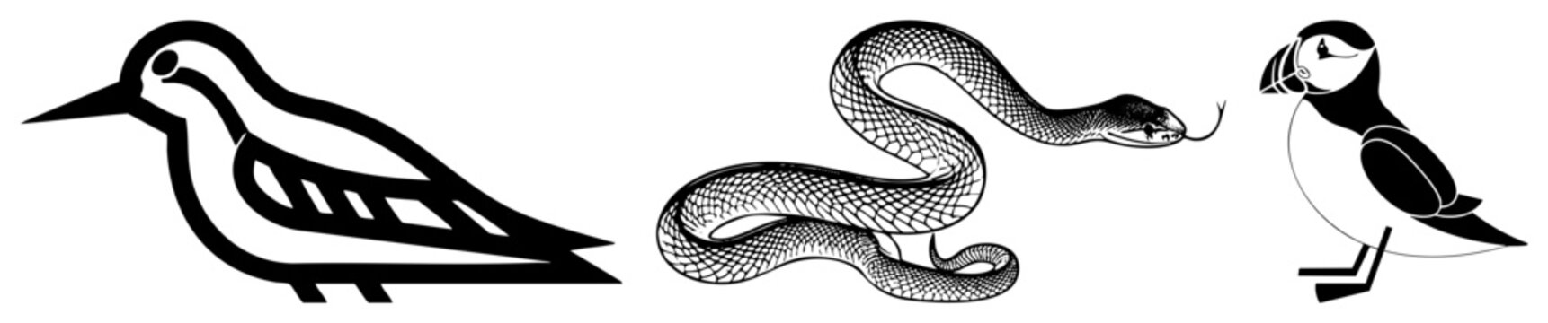 Collection featuring a sleek sandpiper, a coiled garden snake, and a stout puffin. These drawings showcase distinct silhouettes and detailed scale.