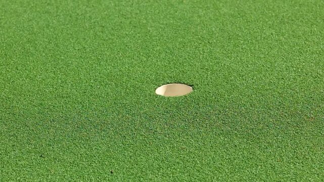 Miniature golf course. Golf hole on green grass
