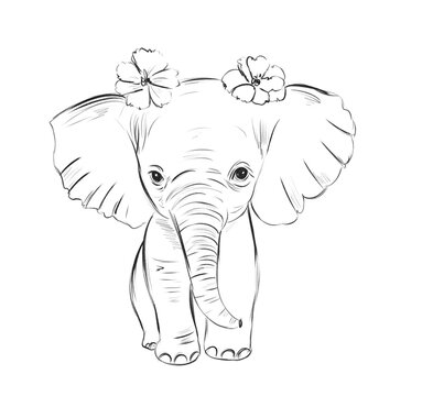 Little elephant with flowers on its head walks forward in a simple black and white drawing