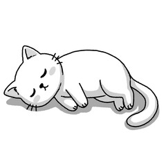 cat and mouse © Patchareeya