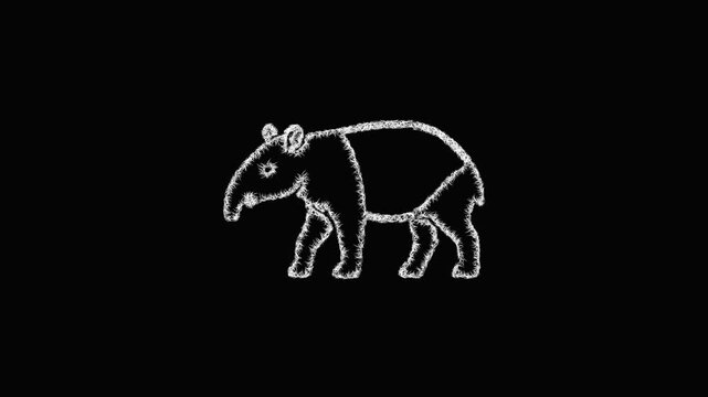 Sketch tapir icon animation - smooth progressive reveal