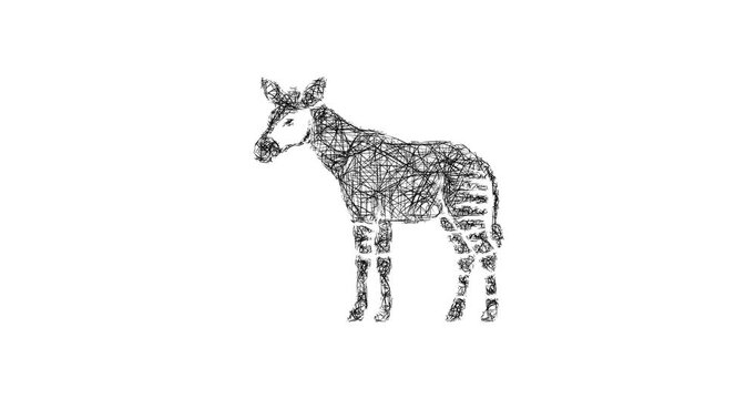 Sketch okapi icon animation - smooth progressive reveal