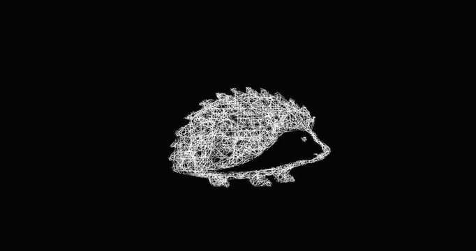 Sketch hedgehog icon animation - smooth progressive reveal