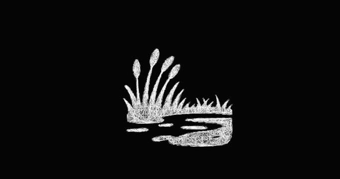Sketch wetland icon animation - smooth progressive reveal