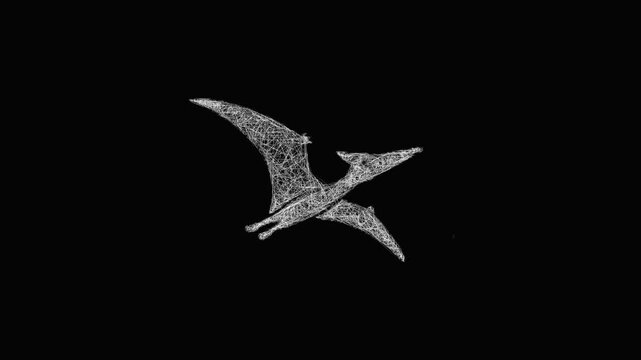 Sketch pterosaur icon animation - smooth progressive reveal