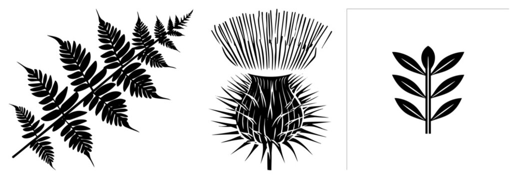 Elegant botanical collection featuring a detailed fern frond, a prickly thistle flower, and a minimal leaf sprig. This foliage set captures organic textures through sharp black silhouettes.