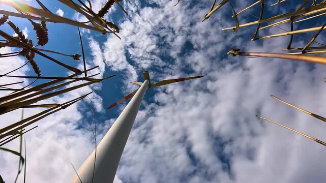 Dynamic low angle hyperlapse shot beneath towering wind turbine framed by tall grass and dramatic cloud filled blue sky