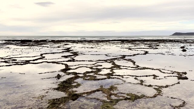 Abstract patterns of exposed shallow ocean rock pools at low tide on coastline