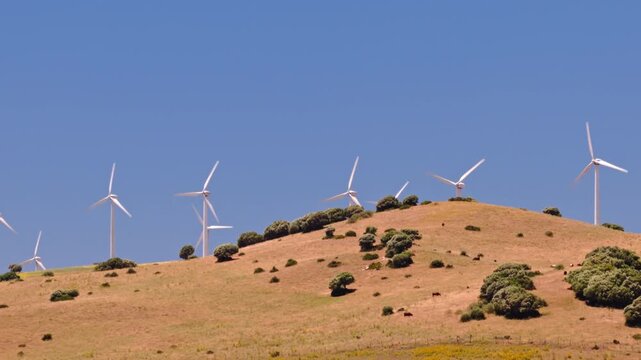 Cinematic drone footage of a large wind farm with turbines generating clean renewable electricity across a rural landscape. Sustainable energy infrastructure supporting decarbonization and climate goa