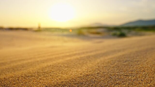 Cinematic slow-motion close-up of windblown sand moving across coastal dunes during golden hour in Tarifa, Spain. Natural textures, motion and warm sunset light create a dramatic atmospheric scene.