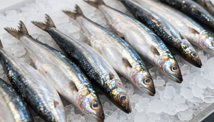 Obraz premium Close-up of fresh whole sardines displayed on crushed ice at a seafood market. Shiny silver fish arranged in rows, highlighting freshness, healthy nutrition, and commercial seafood retail. foto, macro