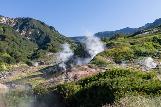 Scenic geothermal landscape with steaming fumaroles, mineral soil and lush tundra slopes in the Valley of Geysers, Kamchatka Krai, Russia on a clear summer day