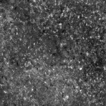 Seamless Grass and Dirt Ground Tileable Displacement Map