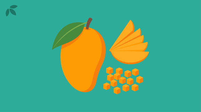 A vibrant illustration of mango fruit.