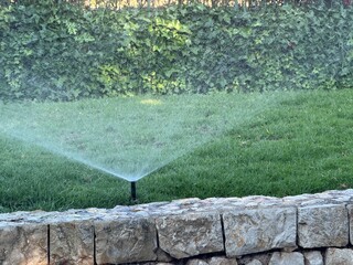 Fototapeta premium Sprinkler irrigating lush green lawn in a modern garden, providing essential water for growth, maintenance, and a healthy vibrant landscape
