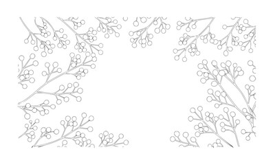 Obraz premium Delicate outline branches with small round berries white berry botanical nature