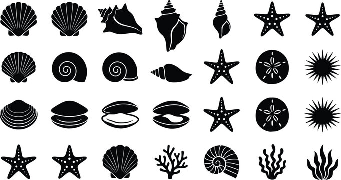 Ocean Beach Seashells Starfish Coral Sea Urchin Sand Dollar Silhouette Icons