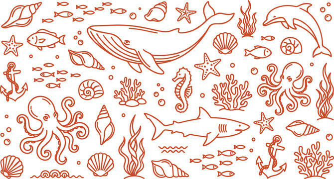 Sea life doodle pattern with line art whale shark dolphin octopus and corals vector background