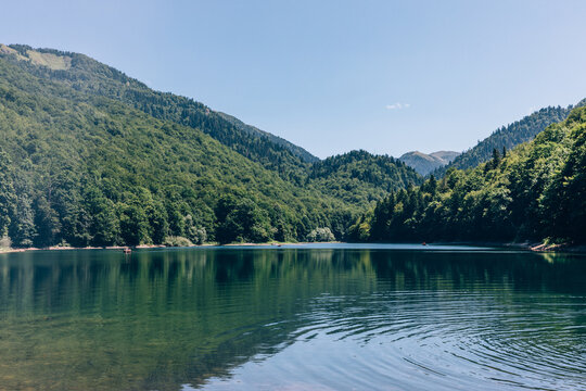 Calm mountain lake with clear reflections and gentle ripples, surrounded by dense green forest and peaks in Biogradska Gora National Park, Montenegro, Europe