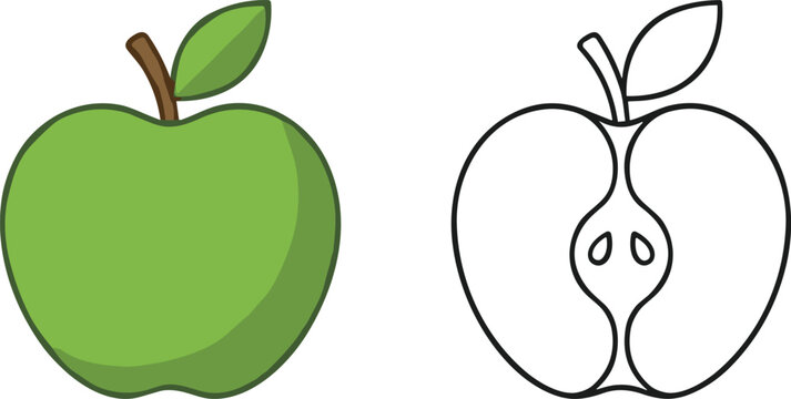 Green Apple Icon and Apple Half Outline Vector Illustration Set for Healthy Food and Nutrition Design