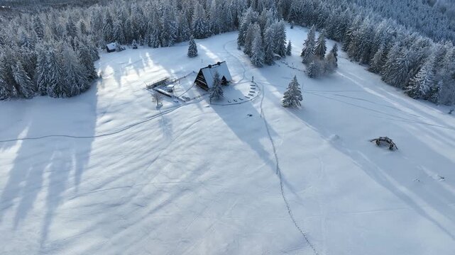 Drone orbital pan tracking wooden mountain refuge on snow covered pasture with frozen pine forest background