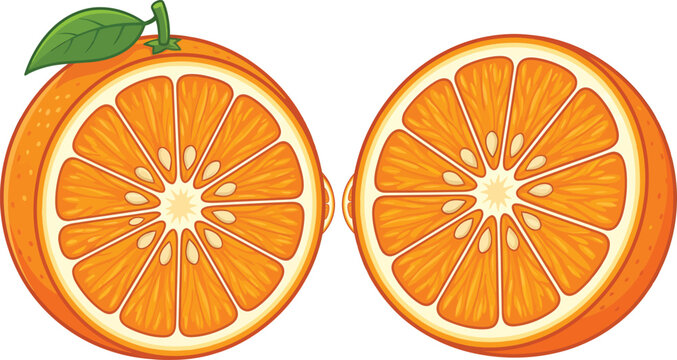 Two halves of fresh orange fruit with green leaves ingredient vegetarian nutrition delicious culinary isolated background illustration agriculture refreshment
