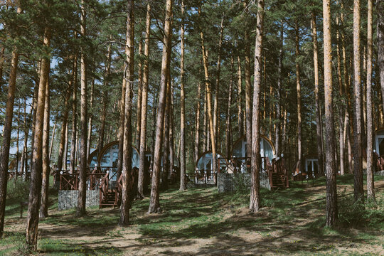 Scenic view of modern glamping cabins with wooden terraces among tall pine trees near Lake Turgoyak, Chelyabinsk Oblast, Russia, sunny summer day