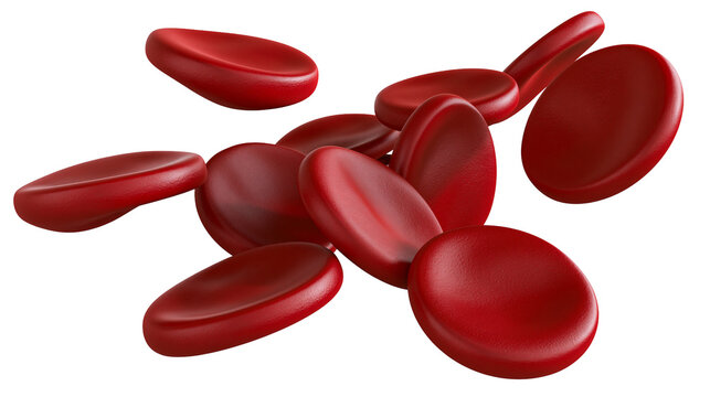 Red blood cells biconcave discs, isolated on transparent background